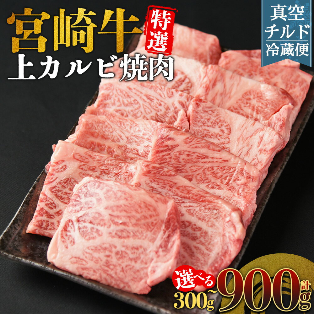 【ふるさと納税】＜【新鮮チルド】宮崎牛特選 上カルビ焼肉＞※入金確認後、14営業日以内に順次出荷 選べる 内容量 焼肉用 焼き肉 やきにく 300g 600g 900g A5等級 ランク 最高等級 高級 お肉 和牛 黒毛和牛 ブランド牛 お家焼肉 BBQ バーベキュー ご褒美 鮮度【冷蔵】