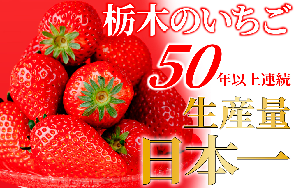 【先行受付：2月以降発送】いちご 小島さんちの完熟 とちあいか レギュラーサイズ 約270g×2パック 合計 約540g | いちご イチゴ 苺 とちあいか 完熟 大粒 果物 フルーツ くだもの あま