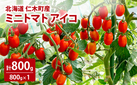 ミニトマト アイコ フルーツトマト 北海道産 ミニトマト【800g】