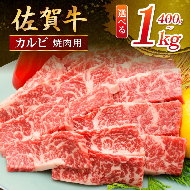 【ふるさと納税】佐賀牛 カルビ 焼肉用 ＜容量が選べる／400g〜1000g＞