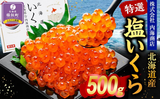 北海道産特選 塩いくら（500g）【北海道産いくら イクラ ikura IKURA 海鮮丼 人気 いくら醤油漬け イクラ醤油漬け 北海道産 北海道 様似町 】