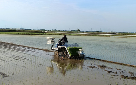 R7年産 米 彩のきずな 5kg | 米 