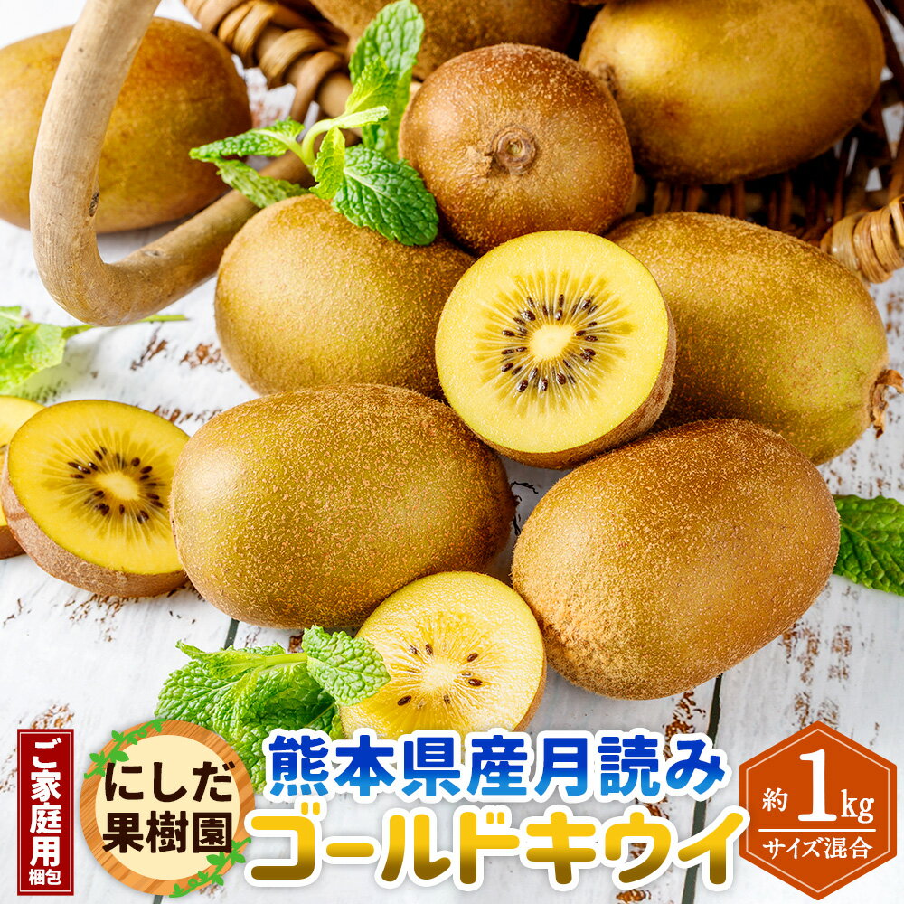 【ふるさと納税】【ご家庭用梱包】にしだ果樹園の熊本県産 月読み ゴールドキウイ サイズ混合 約1kg にしだ果樹園 キウイ くだもの 果物 フルーツ 果実 キウイフルーツ 常温 九州 熊本県 送料無料 【2025年11月上旬発送開始】