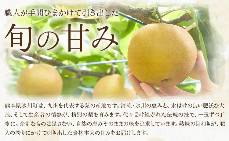 先行予約 旬の梨 約2kg 梨