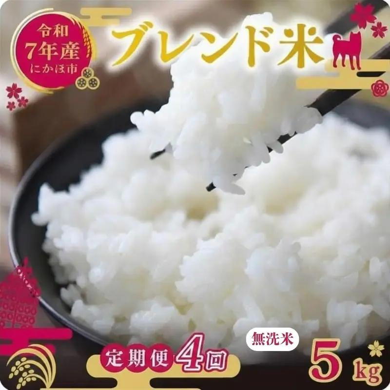 【定期便4か月】無洗米 ブレンド米 5kg  令和7年度産 無洗米