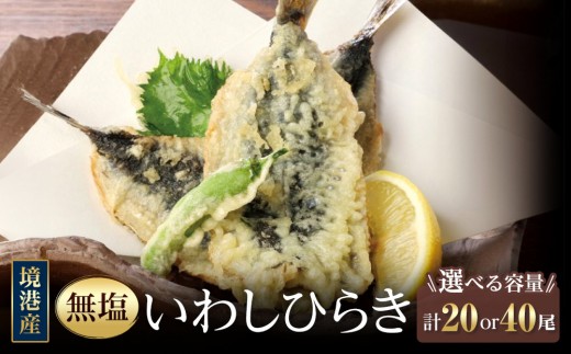 
                  ＜容量が選べる＞境港産 無塩いわしひらき(計20尾 / 40尾)　【鳥取県 境港市】
                