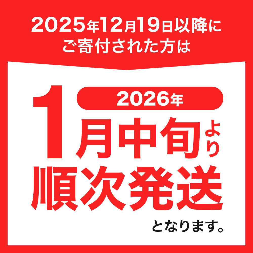 951アイスクリーム　12個セット