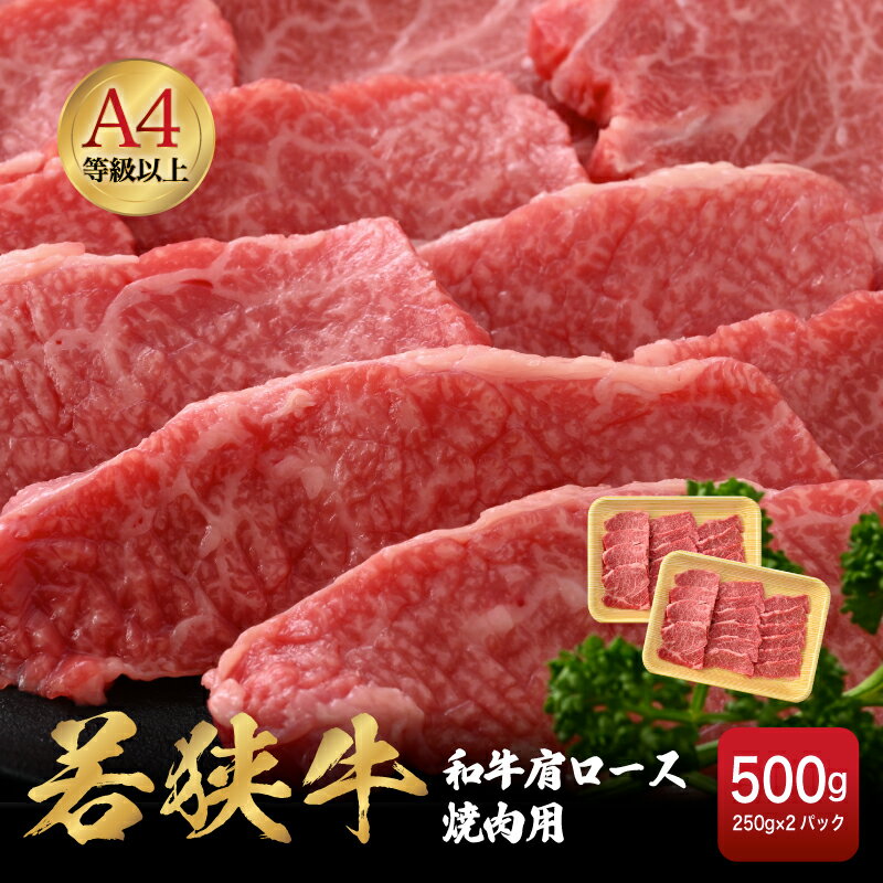 【ふるさと納税】若狭牛 和牛肩ロース焼肉用 計500g （250g × 2パック）福井県産 肩ロースA4等級 以上を厳選！【牛肉 黒毛和牛 黒毛 和牛 冷凍 小分け バーべキュー グルメ】 [e02-b009]