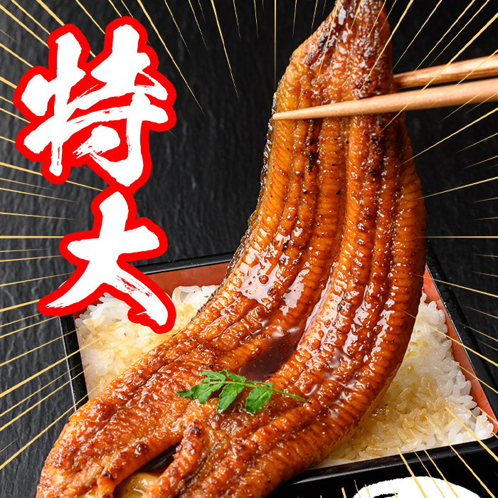 s737 【隔月・定期便6回】＼特大サイズ／ 鹿児島県産 鰻蒲焼真空セット！(計約6.6kg・約220g×5尾×6回) タレ・山椒付！ 鹿児島 九州産 国産 うなぎ ウナギ 鰻 土用の丑の日 蒲焼き 