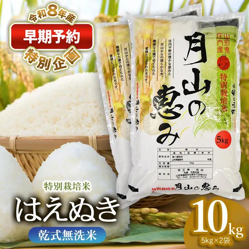 特別栽培米 はえぬき 無洗米 10kg 【令和8年産新米早期予約特別企画】