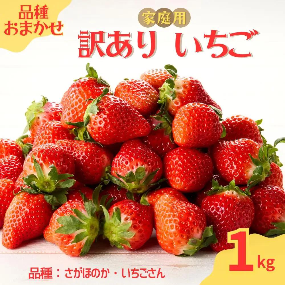 玄海町産いちご（家庭用・訳あり）1kg ／ さがほのか いちごさん【D030】