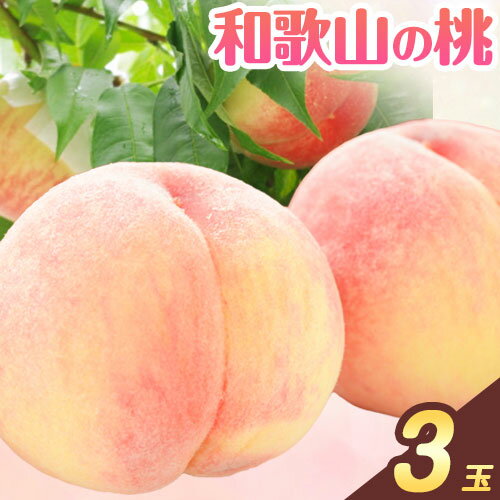 【ふるさと納税】＜先行予約＞【産直・人気の特産品】和歌山の 桃 3玉 厳選館【配送不可地域あり】《2025年6月中旬-8月中旬より発送予定》和歌山県 日高町 果物 フルーツ 桃 もも 送料無料