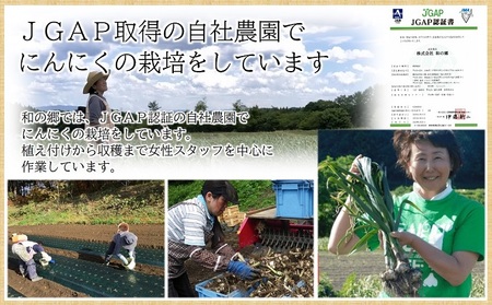 田子町産熟成黒にんにく 食べきりサイズ 100g×3袋