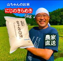 【ふるさと納税】 米 お米 令和6年度 産 新米 山ちゃん の にじのきらめき 5kg 農家直送 残留 農薬 202項目 検査済み 残留 放射能 測定済み 高温障害 に 強い 新品種 送料無料 488