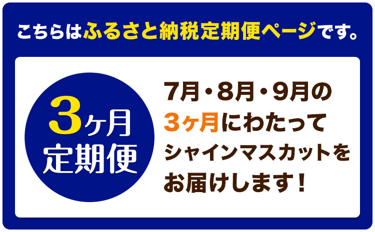 【3ヶ月定期便】ぶどう シャインマスカット 晴王 1.2kg 2房 ハレノフルーツ(アストライ)《7月上旬-9月末頃出荷》岡山県 浅口市 送料無料 フルーツ 果物 マスカット お取り寄せフルーツ【配送