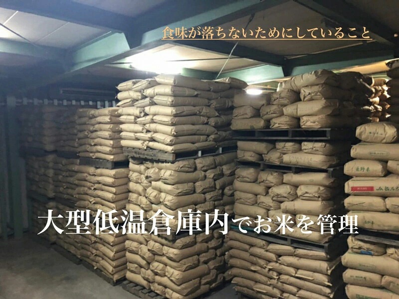 【令和7年産】西尾産翔米（こしひかり）5㎏・K213-18