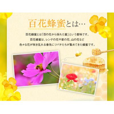 ふるさと納税 高森町 【4月・5月】国産はちみつ1kg 阿蘇 純粋蜂蜜(とんがりポリ容器500g×2本セット)(高森町) |  | 03