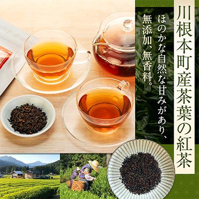 ふるさと納税 川根本町 【坂本園】川根紅茶 紐付きティーバッグ5袋 |  | 01