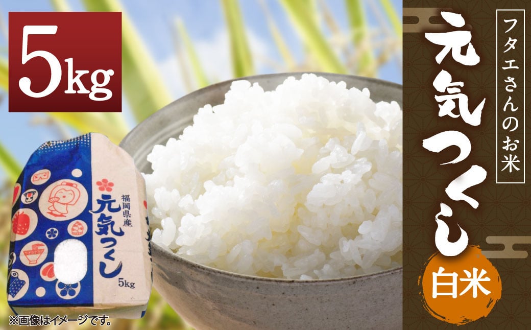 
            フタエさんのお米 元気つくし 5kg 白米 うるち米 ごはん
          