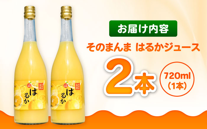 そのまんま はるかジュース 720ml×2本 / みかんジュース / 佐賀県 / 山本農園 [41ATBT015]