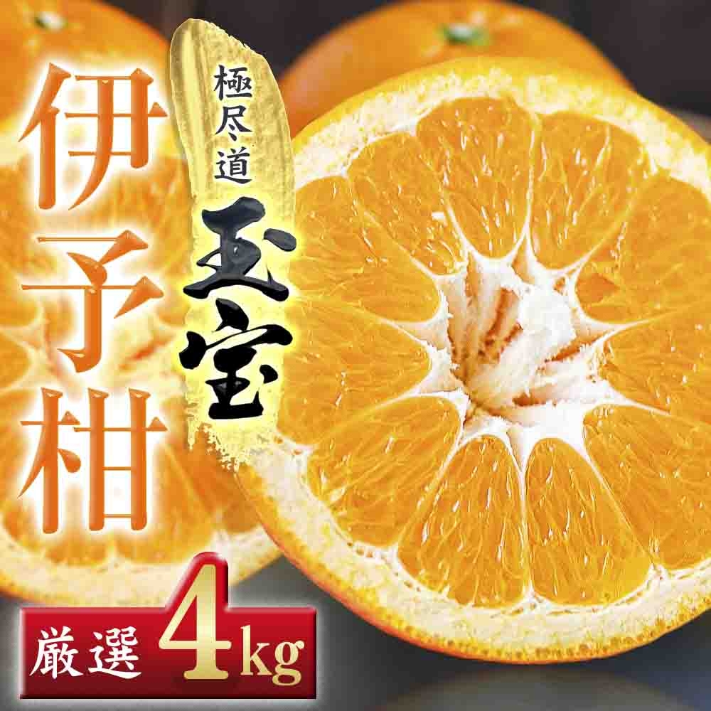 
                  ＜愛媛名産＞玉宝伊予柑　4kg＜C64-58＞【1511350】 YWTY047
                
