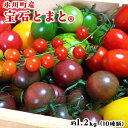 【ふるさと納税】「ミヤザキファーム」 宝石とまと1.2kg 熊本県氷川町産《12月上旬-6月末頃出荷予定》 小鈴 アイコ イエローアイコ オレンジ千果 みどりちゃん セレブスイート グリーンゼブラ 桃太郎ゴールド トスカーナバイオレット マイクロトマト