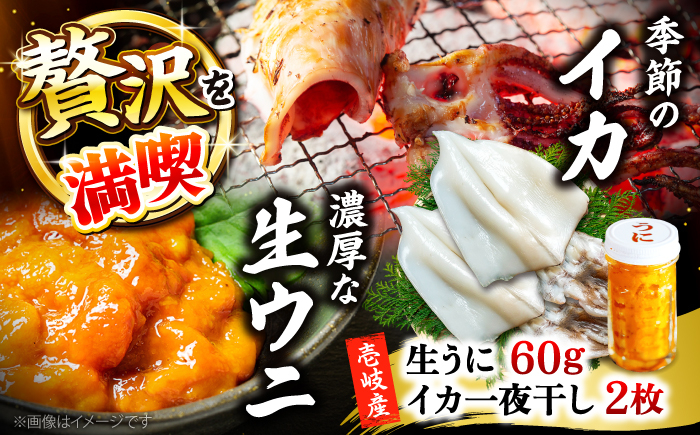 
                  季節のイカ一夜干し2枚＋生ウニ60g 《壱岐市》【合同会社塚元】 [JDR025] 海の幸
                