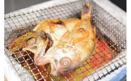 【訳あり】のどぐろ一夜干し（5～6枚） 干物 一夜干し 乾物 訳あり【136_1982】