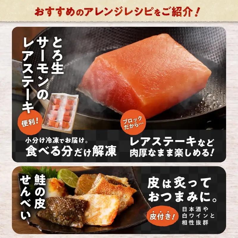 【全6回定期便（隔月）】【王子サーモン】生を超えた「とろ生サーモン」お刺身用ブロック 1kg T041-T09-04 定期便 定期 魚