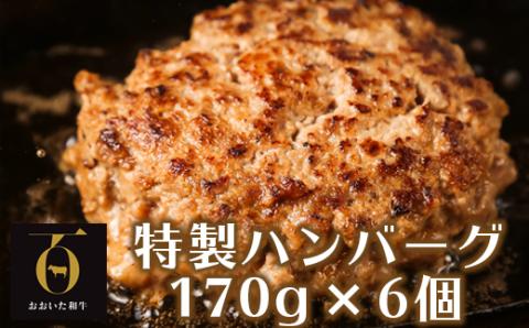 おおいた和牛特製ハンバーグ170g×6個（計1020g）【匠牧場】＜102-030_5＞