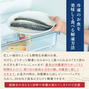 【訳あり】骨取り無塩さば　切り身1kg（500g×2袋） mi0012-0161 訳あり ｻﾊﾞ 鯖 不揃い 魚 魚介 お弁当 惣菜 おかず 塩焼き 味噌焼 味噌煮