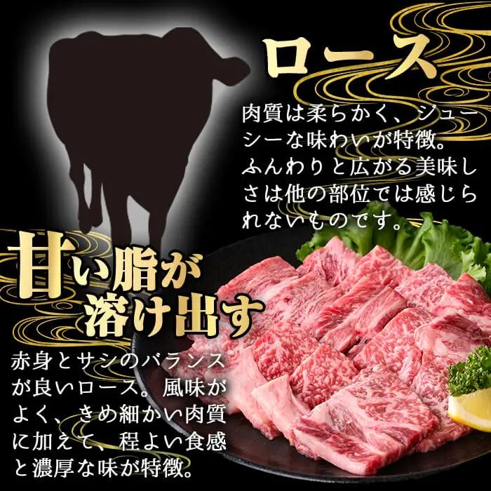 鹿児島県産 A5等級 黒毛和牛 霜降り ロース 焼肉 (計500g・250g×2P) 【KNOT】 A1104
