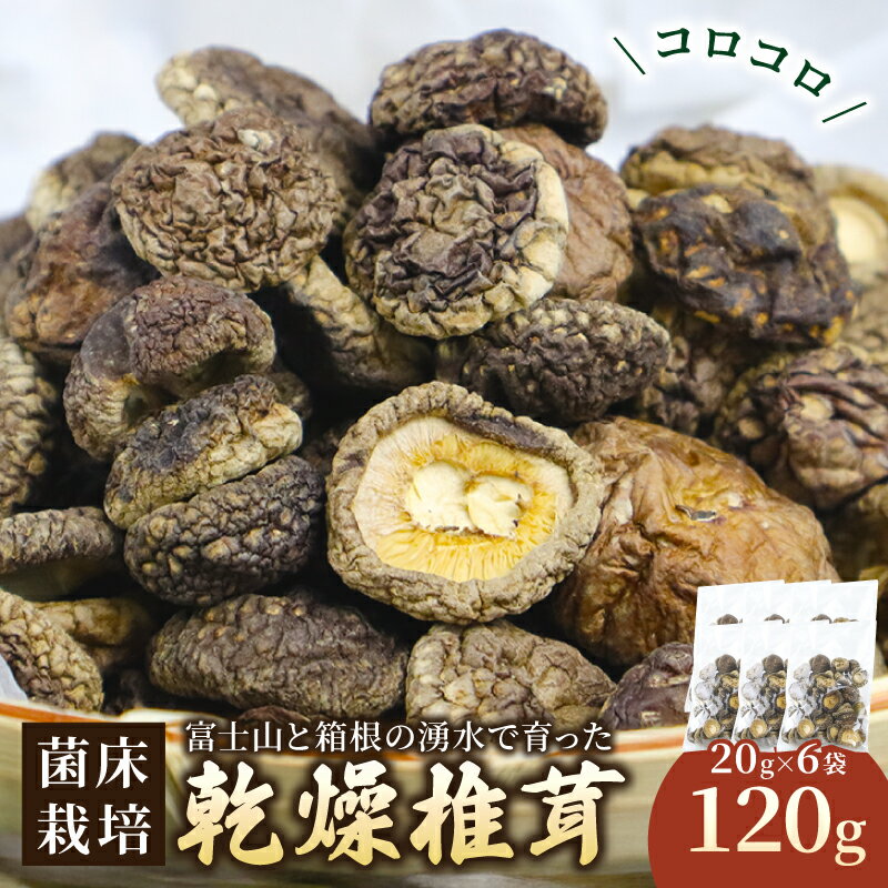 【ふるさと納税】 乾燥しいたけコロコロ 約120g 椎茸 しいたけ シイタケ きのこ 乾燥しいたけ 乾燥シイタケ 乾燥椎茸 野菜 菌床栽培 肉厚 キノコ 出汁 煮物 味噌汁 国産 農薬不使用 食物繊維 富士山 湧水 箱根 静岡県 三島市