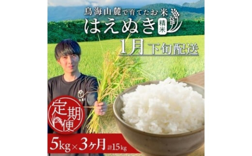 1月下旬発送開始／【3回定期便】令和7年産 ［精米］はえぬき　5kg×3回(計15kg) 農家直送 HO SF0323