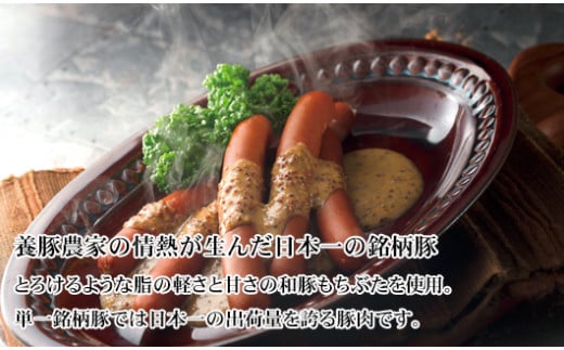 もち豚のソーセージ食べ比べ800g【冷凍】 「2023年 令和5年」