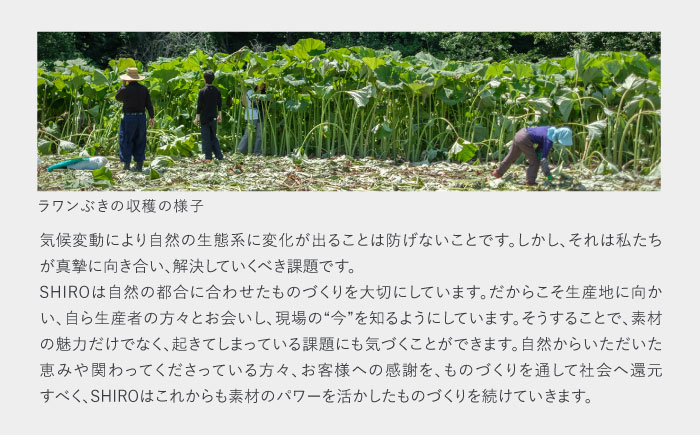 【SHIRO】ラワンぶき化粧水 《足寄町》 センシティブ [BEAX002]