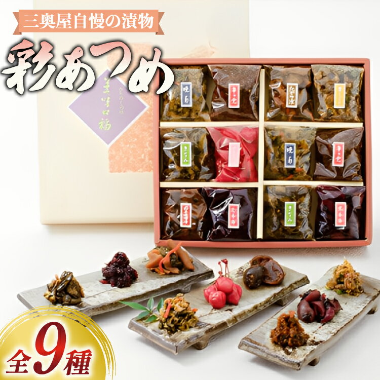 【ふるさと納税】漬物 詰め合わせ 9種 セット 彩あつめ [tk06ays620001 山形県 高畠町 三奥屋] 漬け物 つけもの ご飯のお供