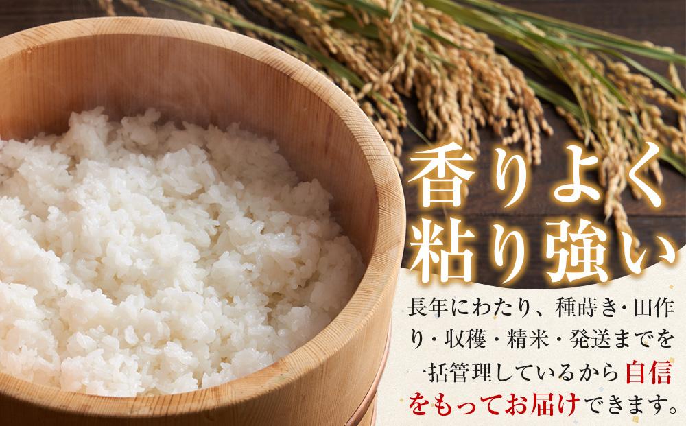 令和6年産 新米ひのひかり100%(自社保有田米) 10kg(小分け真空パック1000g×10) 福岡県 大川市