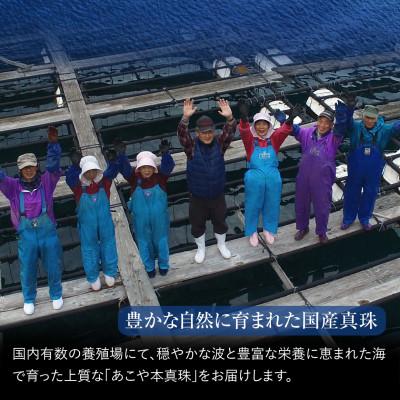 ふるさと納税 長崎市 あこや真珠 4.0-4.5mm 保証書付 ピアス K18 2連パール |  | 03