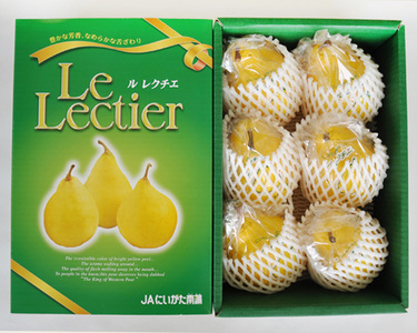 【2026年先行予約】新潟特産 幻の洋梨ル・レクチェ 約2kg《11月下旬～配送予定》 加茂市 えちご中越農業協同組合