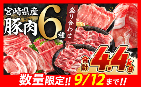 【令和7年1月配送】数量限定 豚肉 6種 盛り合わせ セット 合計4.1kg 豚 小分け 豚バラ 豚ロース 豚こま 国産 食品 人気 おかず 焼肉 しゃぶしゃぶ 豚丼 食べ比べ 料理に大活躍 使い勝手抜群 選べる配送月 ミヤチク 送料無料_CA51-24-01