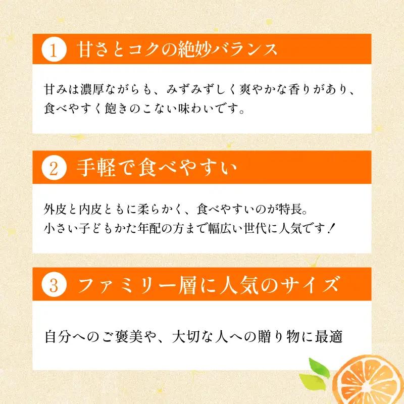 【先行予約】宗方印 温州みかん（家庭用）約2kg