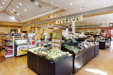 雫石純蜂蜜 アカシア 500g 1本 【あねっこ】 純粋 蜂蜜 はちみつ ハチミツ ハニー ５００ｇ １本 国産 国内産 日本産 ボトル 長期保存 産地直送 アカシヤ 蜜 みつ ミツ 人気 稀少 希少