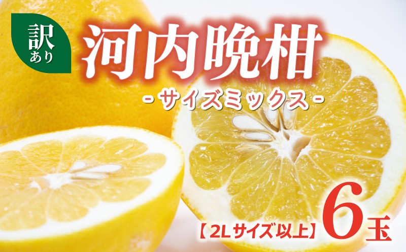 
            訳あり 河内晩柑 2L サイズ 以上 6玉 （ 約 3.5kg ） サイズミックス 5000円 みかん かわちばんかん ミカン mikan わけあり 愛南ゴールド 家庭用 あいなん ゴールド 美生柑 文旦 派生 和製 グレープフルーツ 産地直送 国産 農家直送 期間限定 数量限定 特産品 人気 甘い おいしい フルーツ 果物 柑橘 蜜柑 アイス ジュース 等に 規格外 大樹農園 愛南町 愛媛県
          