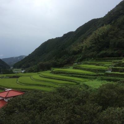 ふるさと納税 山鹿市 令和6年産菊鹿の米アイガモ農法米　白米2kg×2 |  | 01