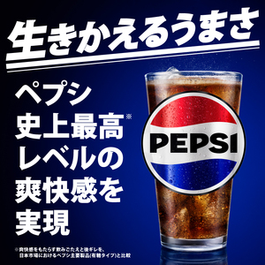 ペプシ コーラ 生 ゼロ 600ml 48本 （24本入 × 2ケース ） pepsi 常温 ペットボトル サントリー 炭酸 炭酸飲料 常備 飲料 ジュース 箱 ペプシBIG＜生＞zero 入山乾商店