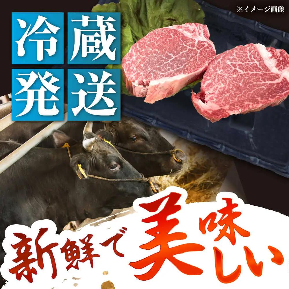 飛騨牛 A5 ヒレ 150g×5枚 / 恵那市 / 東美濃農業協同組合 [AUFX019]