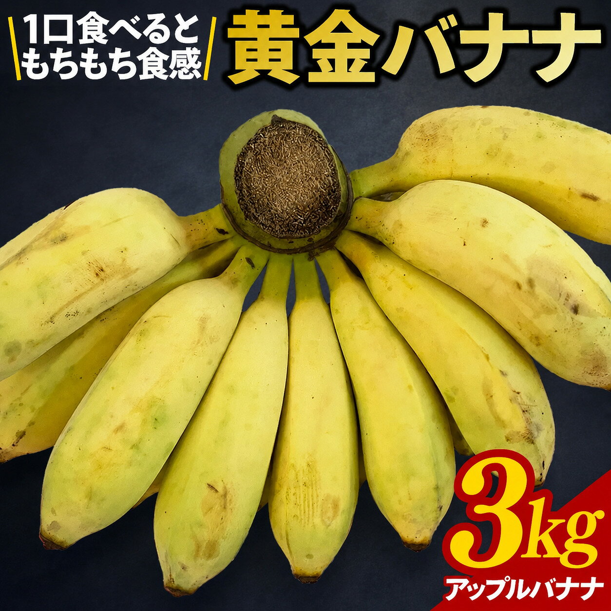 【ふるさと納税】黄金バナナ（アップルバナナ）約3kg(CF001-1)