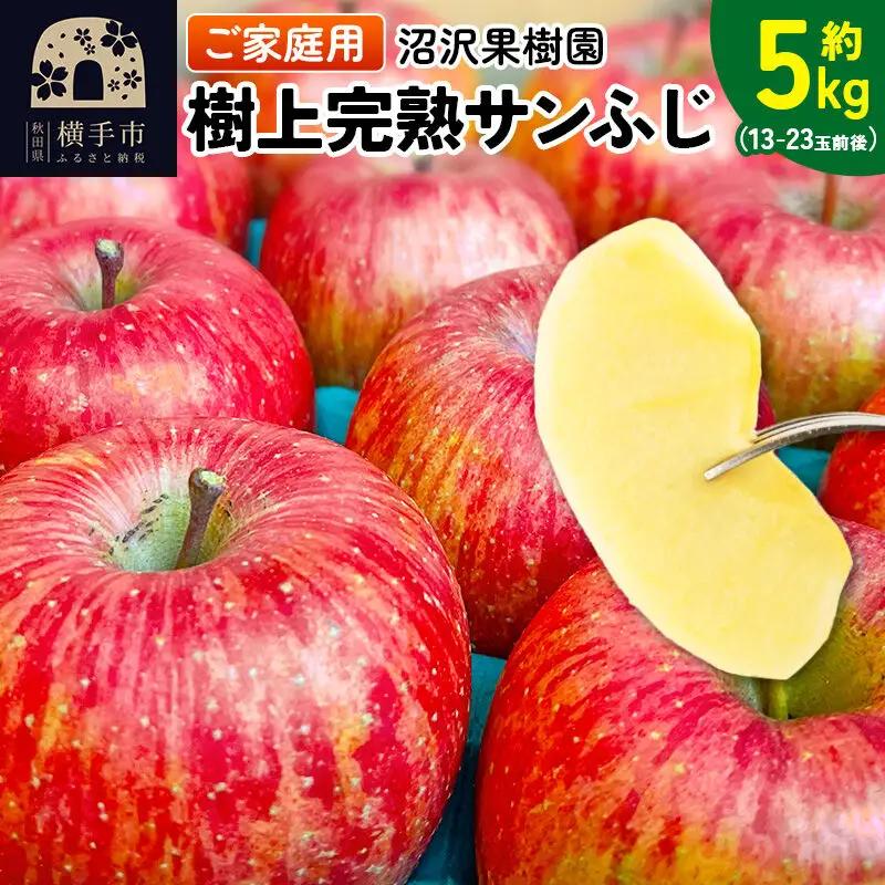 りんご 12月上旬より発送 樹上完熟 サンふじ 家庭用 約5kg