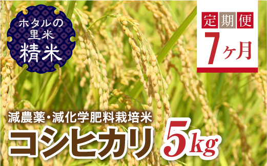 
             ＜定期便7ヶ月＞【ホタルの里米】環境に配慮し農薬を減らした栽培米 コシヒカリ精米5kg F4D-1437
          